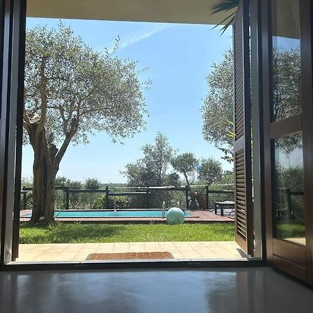 Villa Villacolle Massarosa Exterior photo