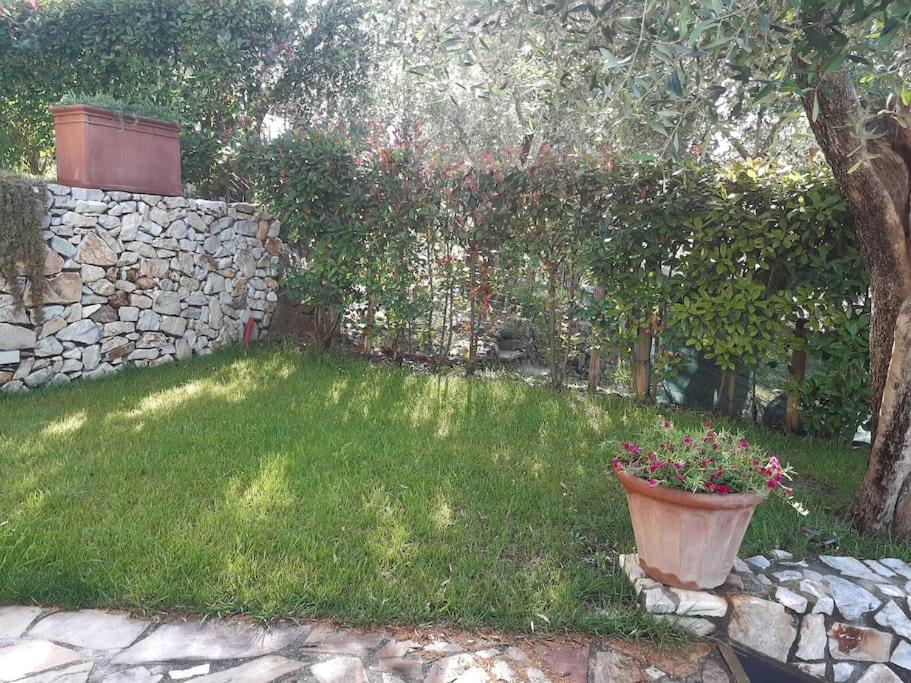 Villa Villacolle Massarosa Exterior photo